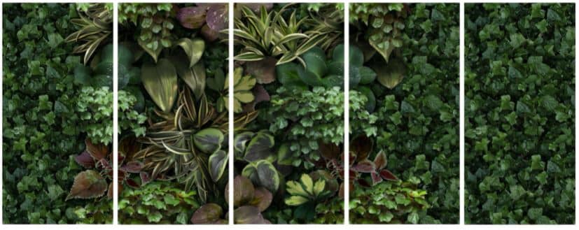 Návrh zelené koupelny – jsou to obklady, tapety nebo živé rostliny? 5