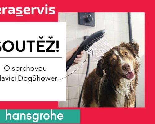 Soutěž o sprchovou hlavici Hansgrohe DOGSHOWER