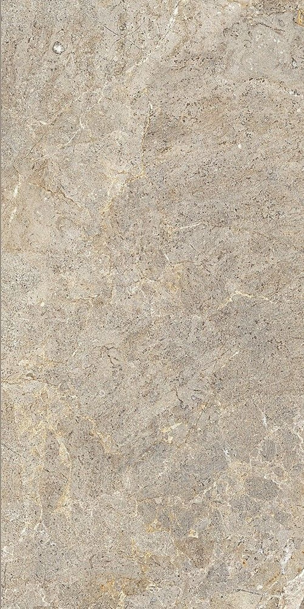 Cercom Everstone Everbrown 60x120cm