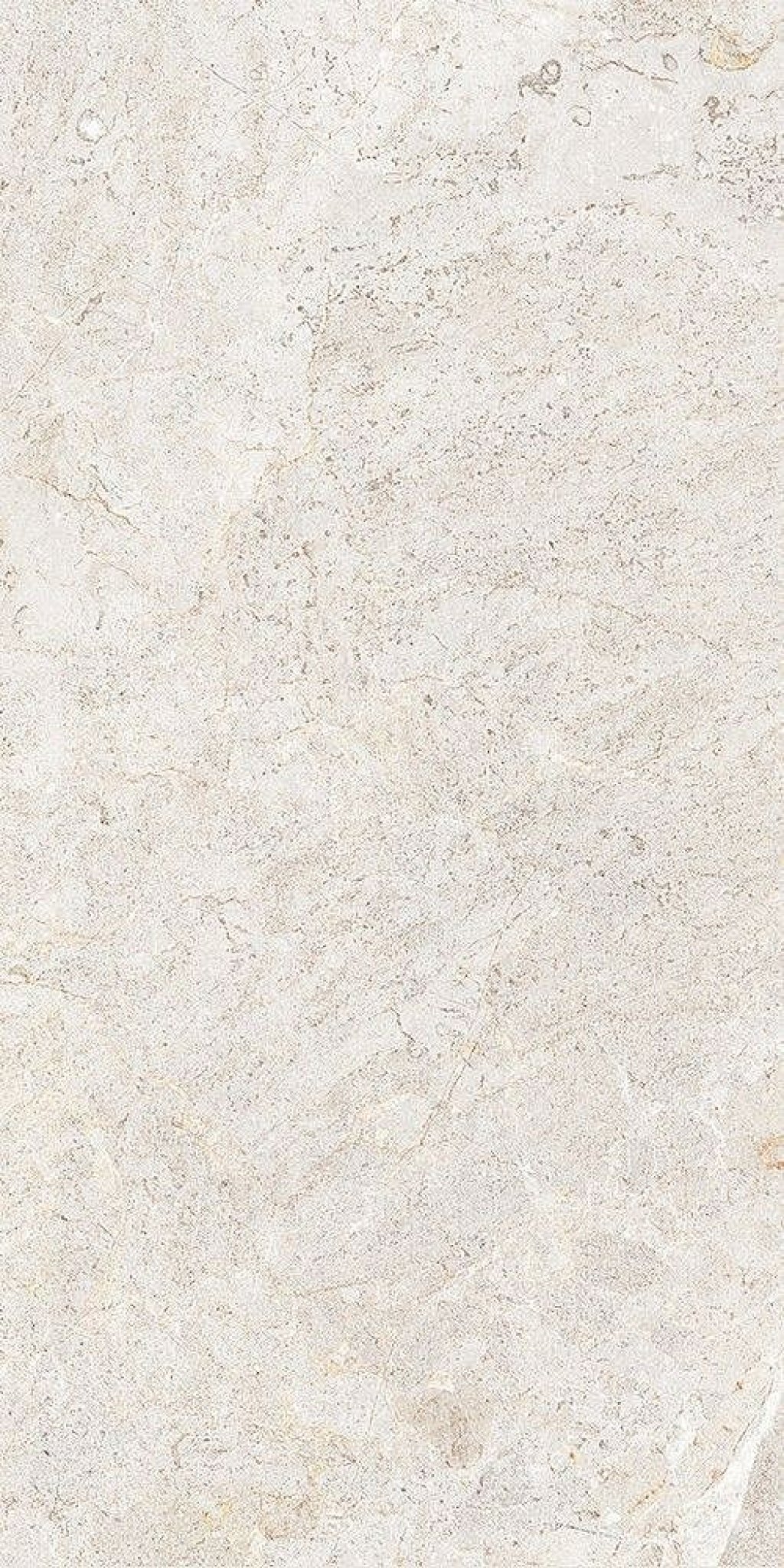 Cercom Everstone Everwhite 100x100 cm