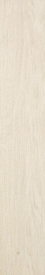 Atlas Concorde ETIC Rovere Bianco 15x90