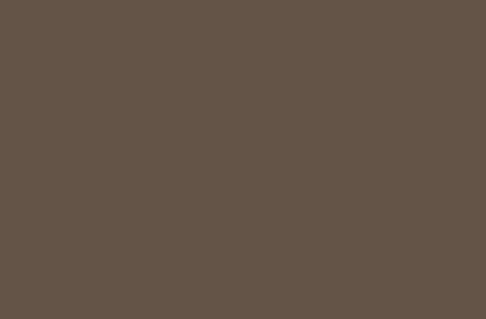 Obklad Ragno COLOURS Brown 25 x 38 cm, hnědá