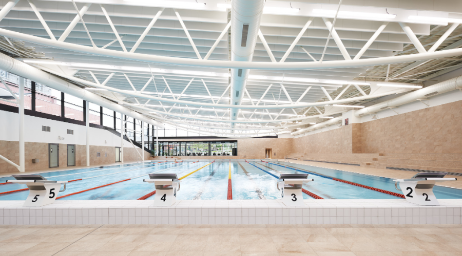 Rekonstrukce Bazénů Lužánky v Brně